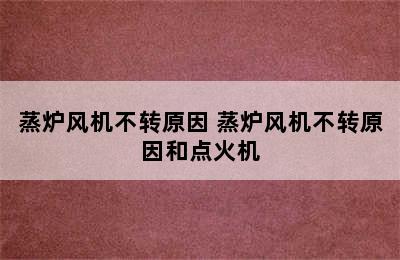 蒸炉风机不转原因 蒸炉风机不转原因和点火机